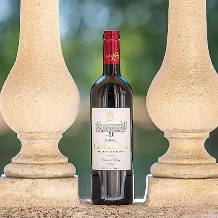 Tatil Evi Chateau Couffins