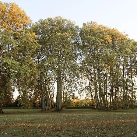 Chateau Couffins Tatil Evi *