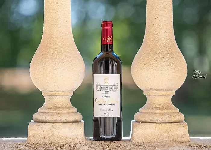 Σπίτι διακοπών Chateau Couffins