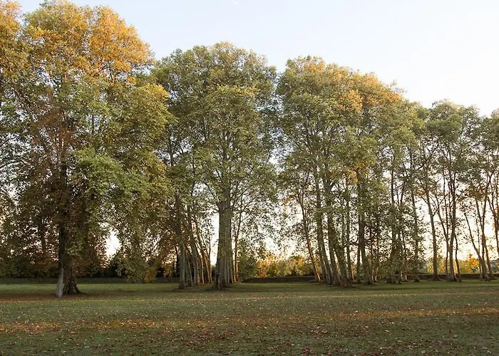 Chateau Couffins Σπίτι διακοπών *